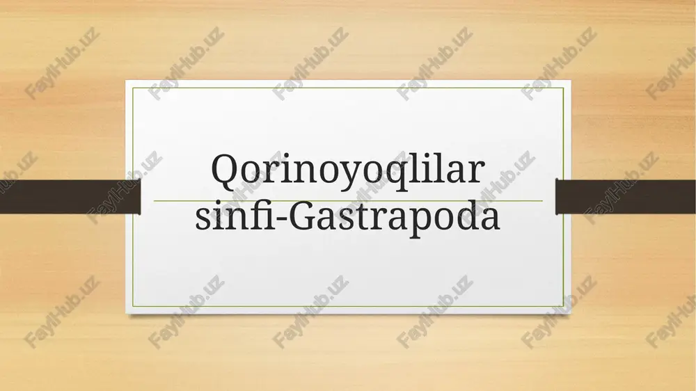 qorinoyoqlilar sinfi-gastrapoda — PPTX