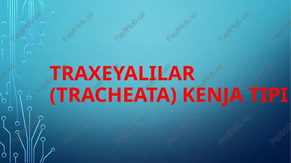 traxeyalilar (tracheata) kenja tipi — PPTX