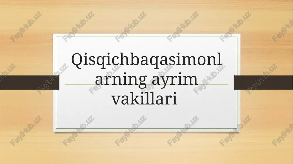 jabraoyoqli qisqihbaqasimonlar — PPTX