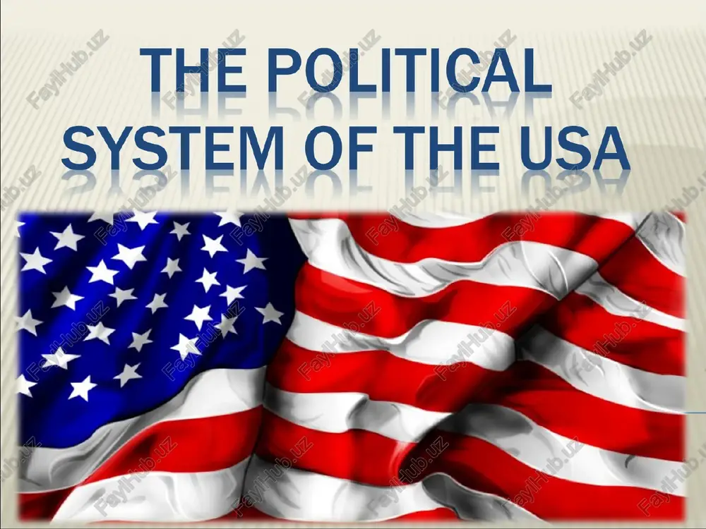 the political system of the usa — PPT