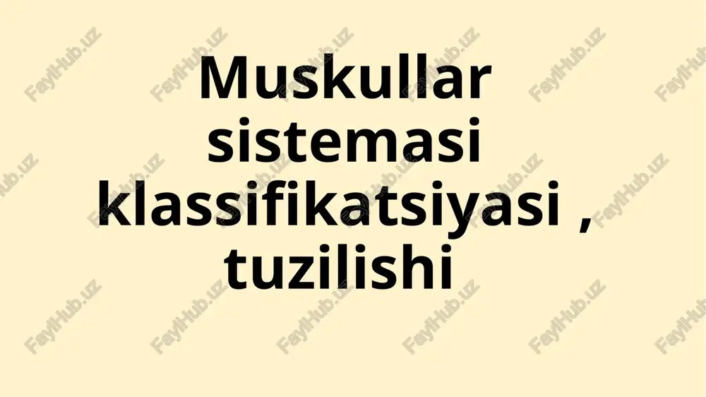 muskullar sistemasi klassifikatsiyasi — PPTX