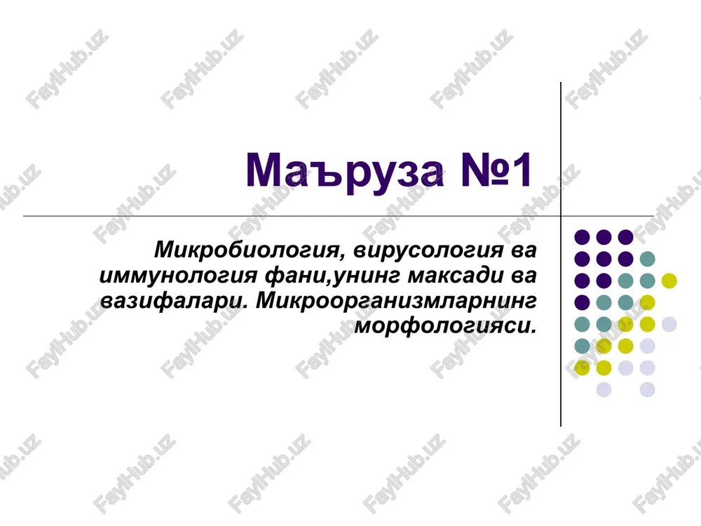 ma'ruza №1 — PPT