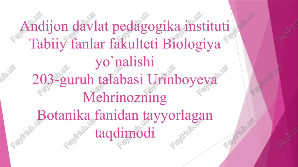 suvqirqqulog'i — PPTX