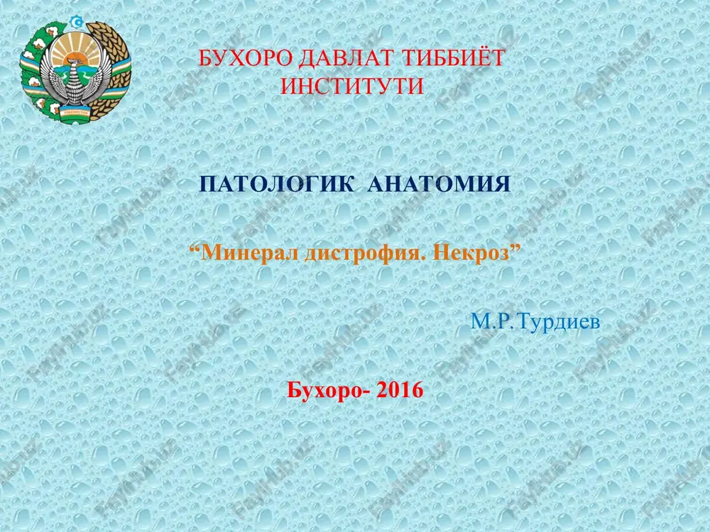 "mineralli distrofiyalar" — PPT