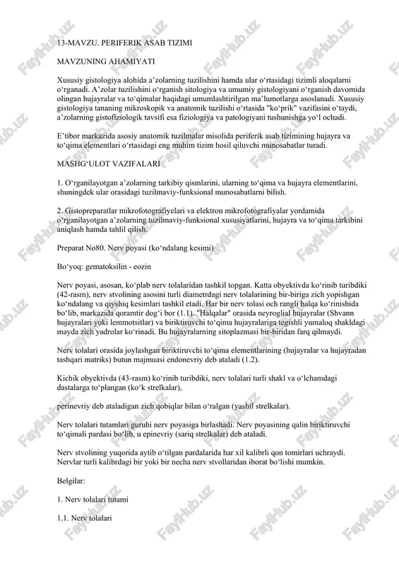 periferik asab tizimi — DOCX