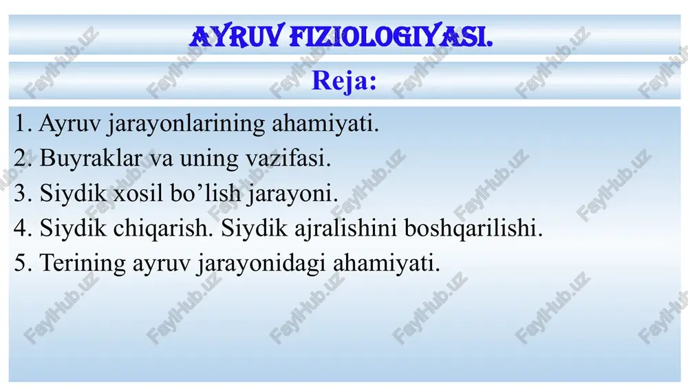 ayruvfiziologiyasi — PPTX