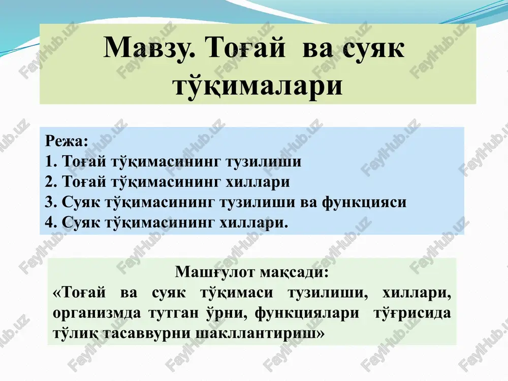 tog'ay vasuyakto'qimalari — PPTX