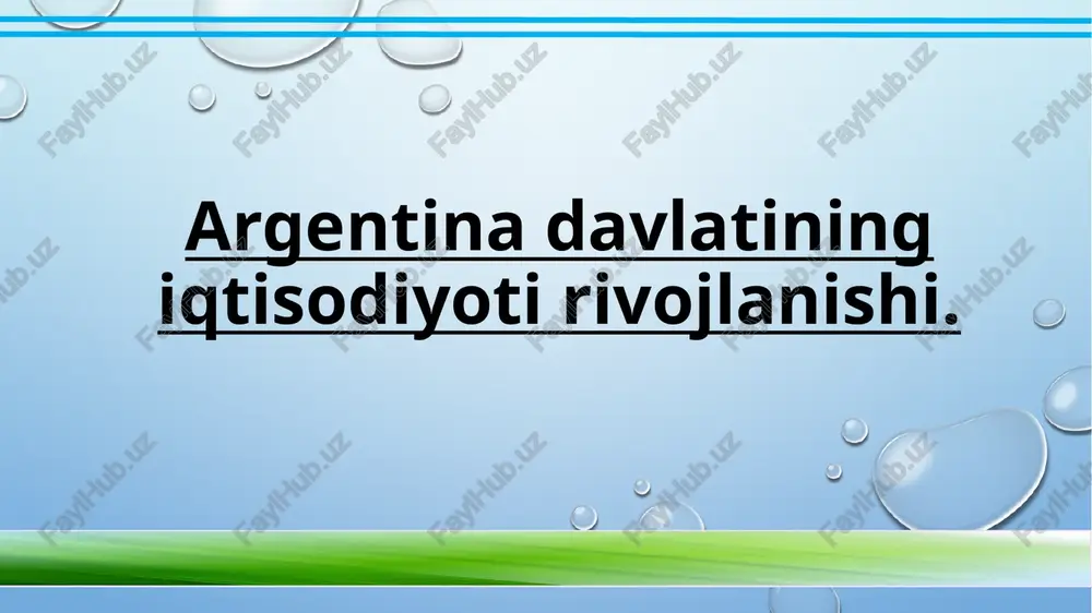 argentina davlatining iqtisodiyoti — PPTX