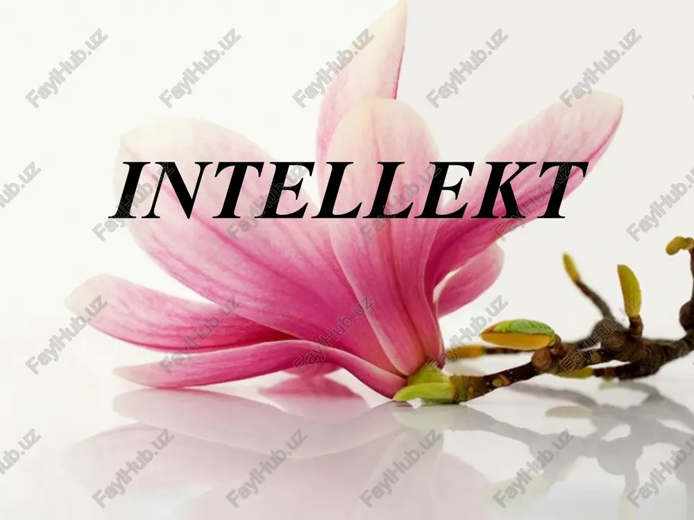 intellekt — PPTX