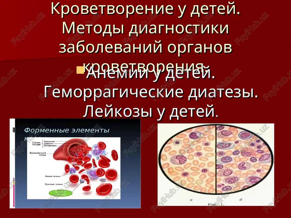 krovetvorenie u detey — PPT