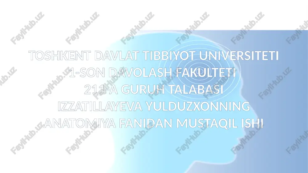 periferik nerv tizimi funksional anatomiyasi — PPTX