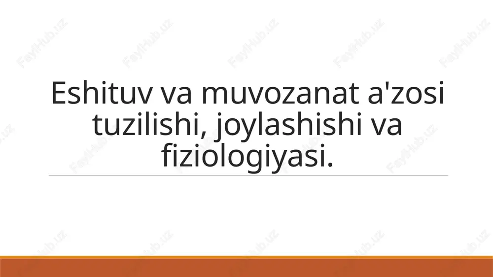 eshituv va muvozanat anatomiyasi — PPTX