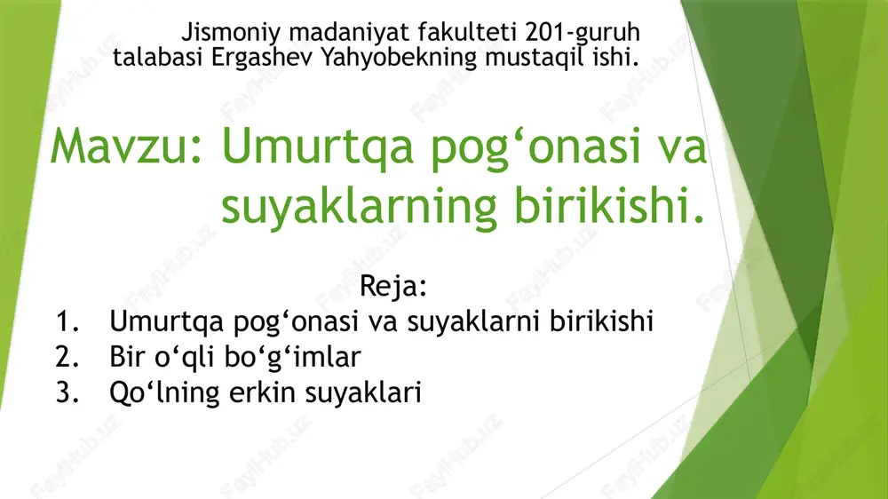 umurtqa pog‘onasi va suyaklarning birikishi — PPTX