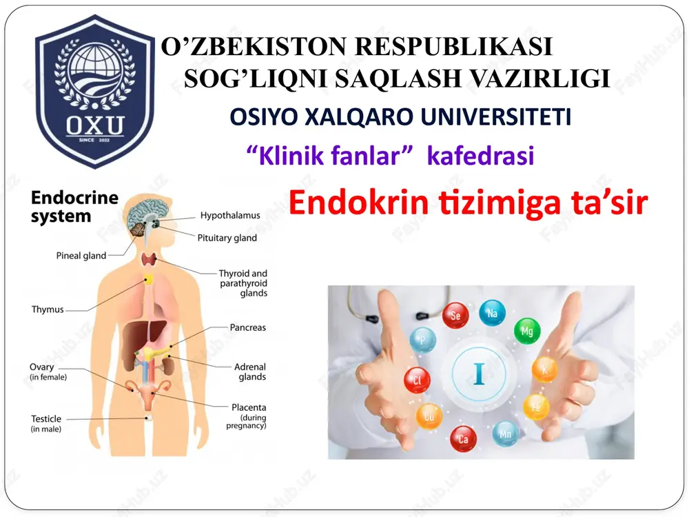 endokrintizimigata’sir — PPTX