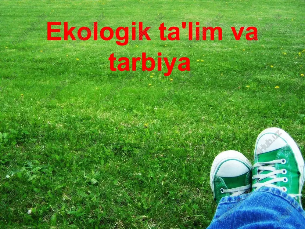 ekologik ta'lim va tarbiya — PPTX
