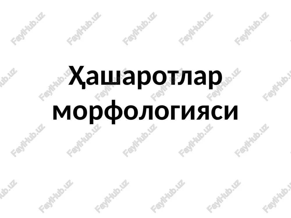 hasharotlarmorfologiyasi — PPTX