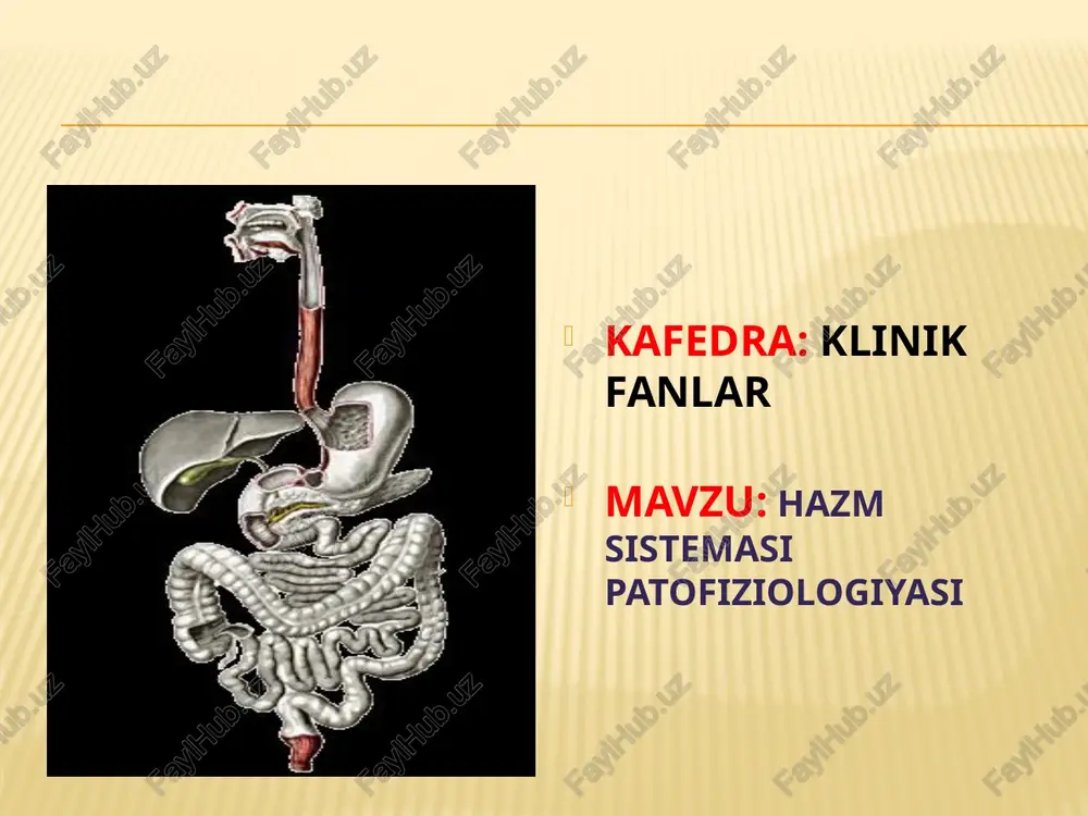 hazm sistemasi patofiziologiyasi — PPTX