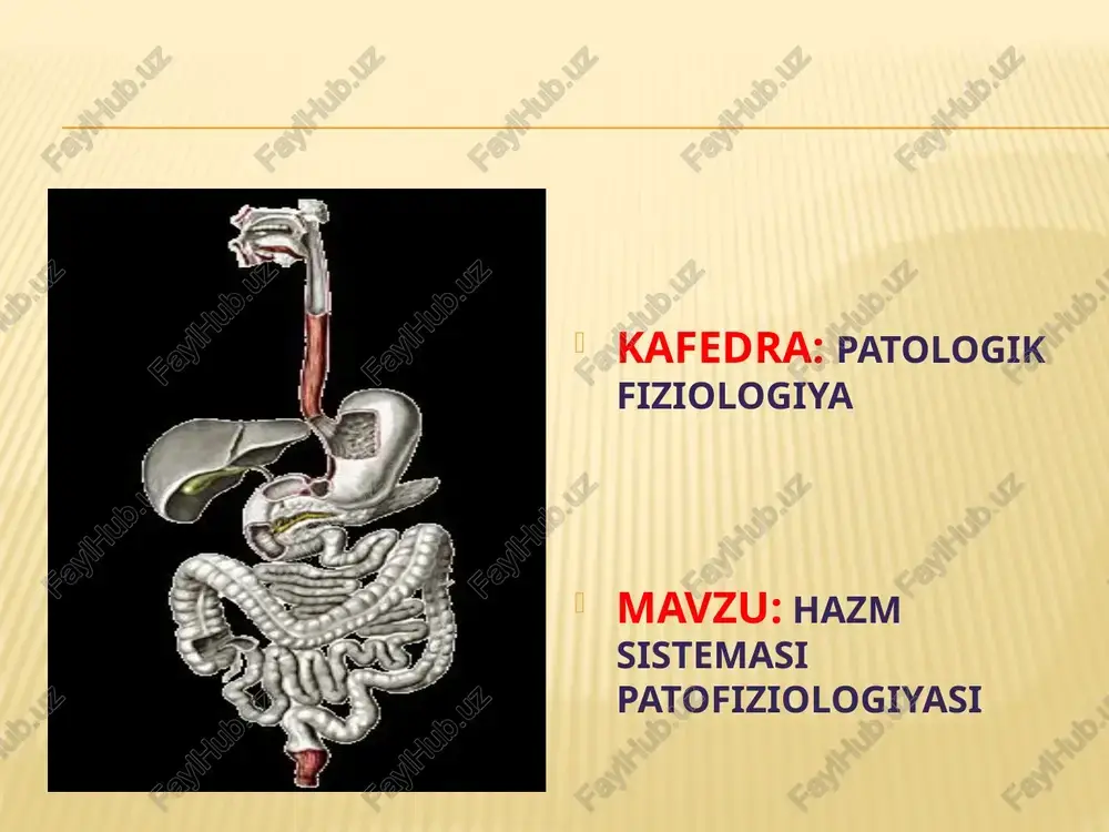 hazm sistemasi patofiziologiyasi — PPTX