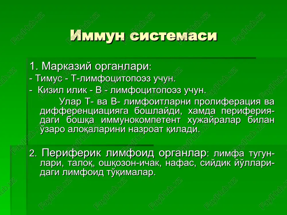 timus — PPT