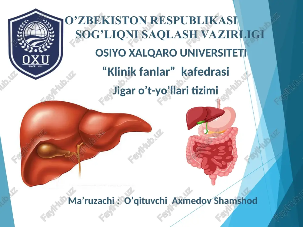 jigar o’t-yo’llari tizimi — PPT
