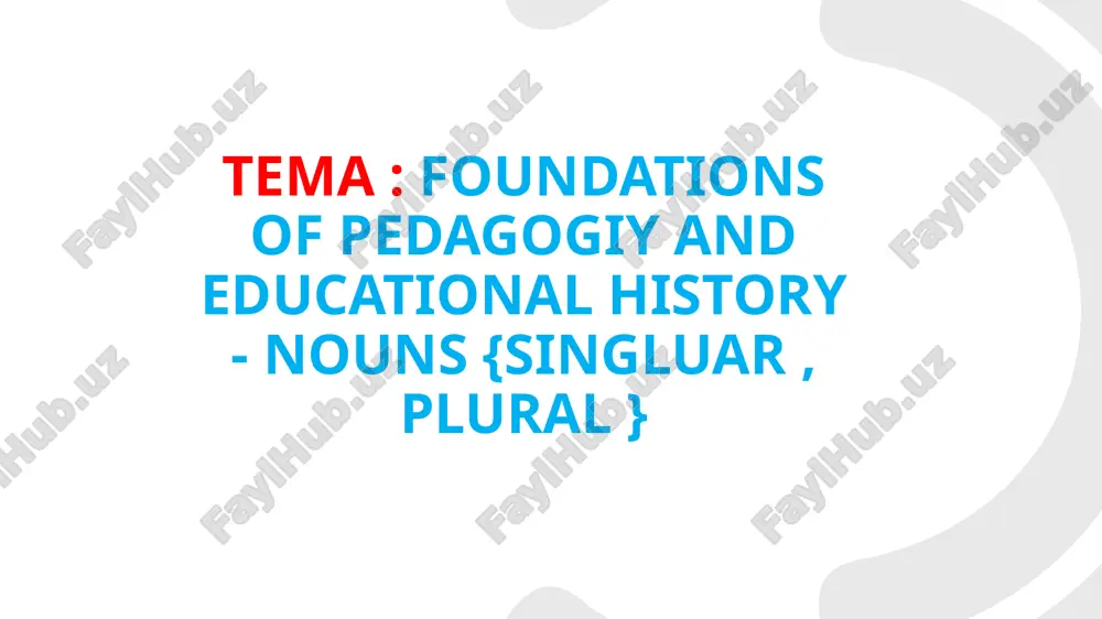 foundations of pedagogiy and educational history - nouns {singluar , plural }. — PPTX