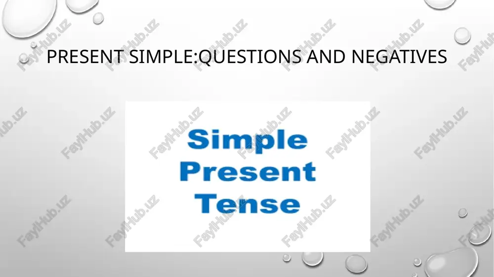 present simple: questions and negatives — PPTX