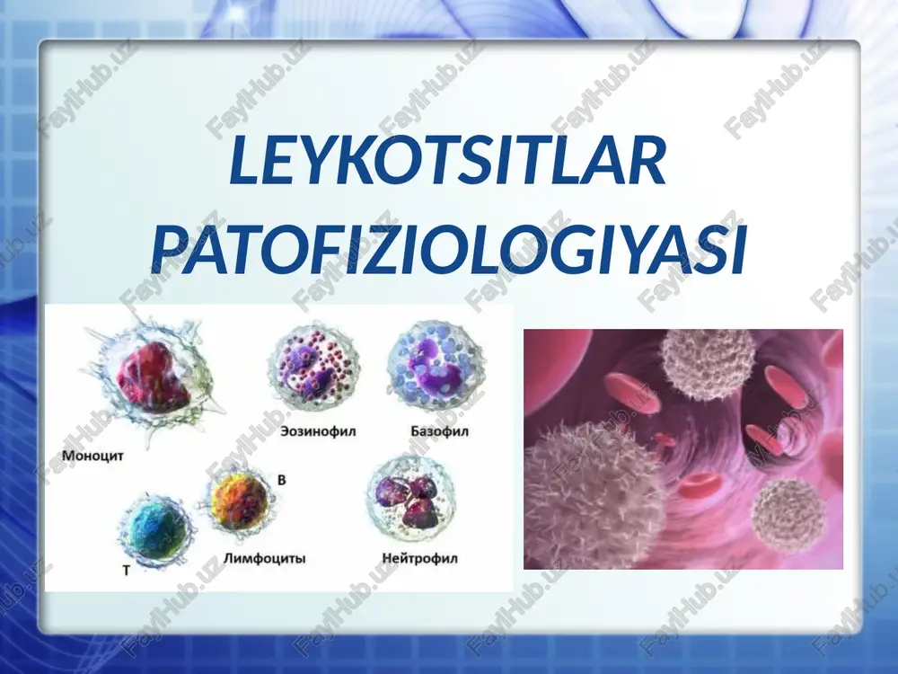 leykotsitlarpatofiziologiyasi — PPTX