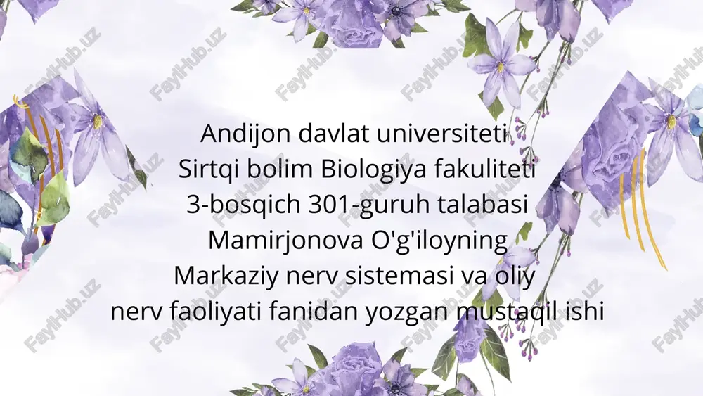 oraliq miya funksiyasi — PPTX
