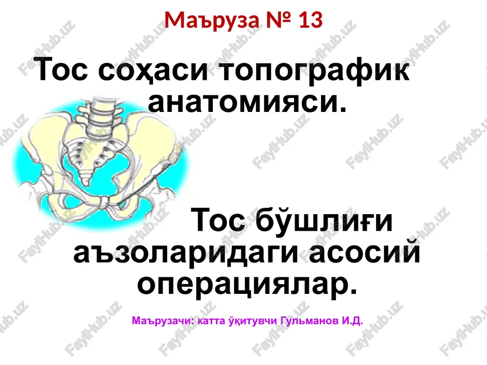 tossohasitopografikanatomiyasi — PPTX