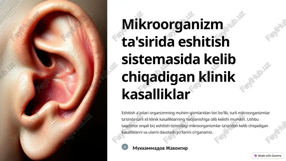 eshitish tizimi va mikroorganizmlar ta'siri — PPTX