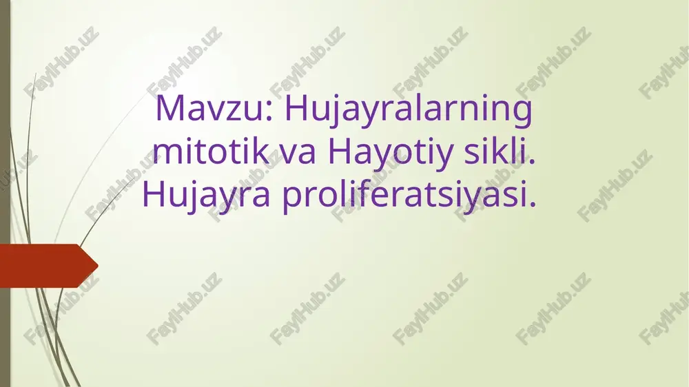 hujayralarning mitoz va hayoti — PPTX