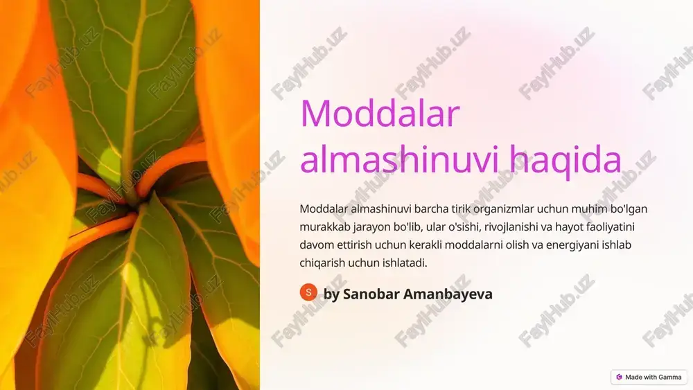 moddalar almashinuvi — PPTX