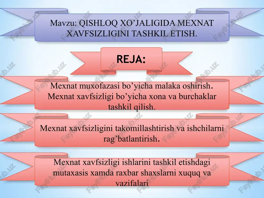 mexnat xavfsizligi tashkili — PPTX