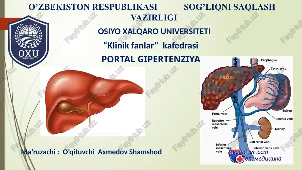 portal gipertenziya — PPTX