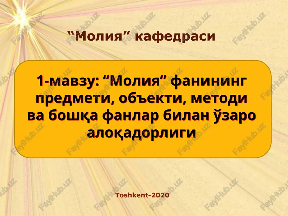 "moliya" — PPTX