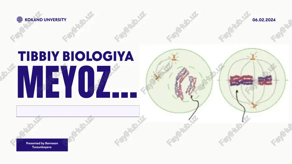 meyoz — PPTX