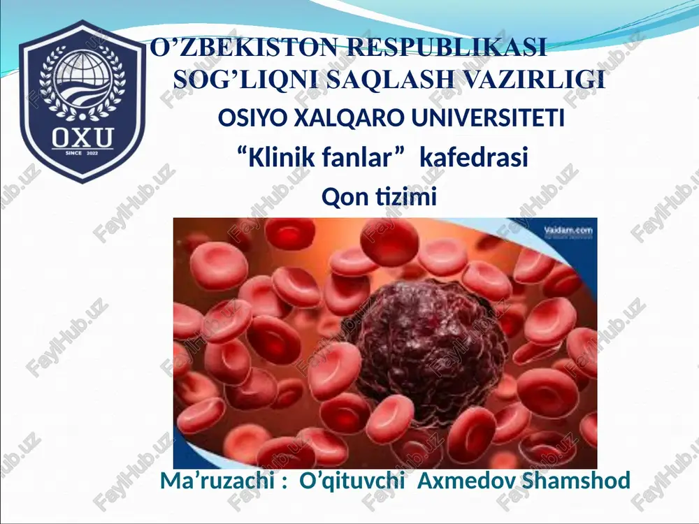 qontizimi — PPTX