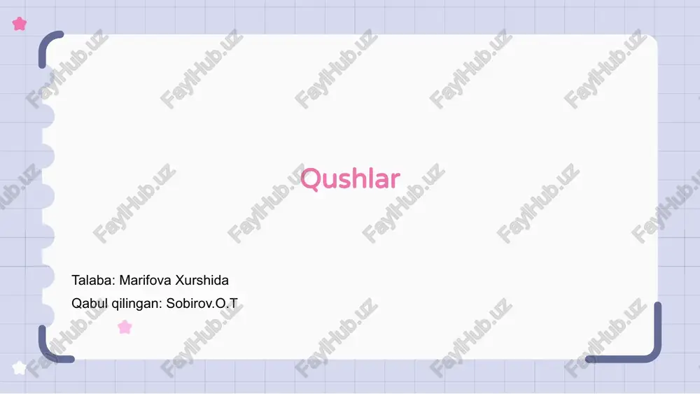 qushlar — PPTX