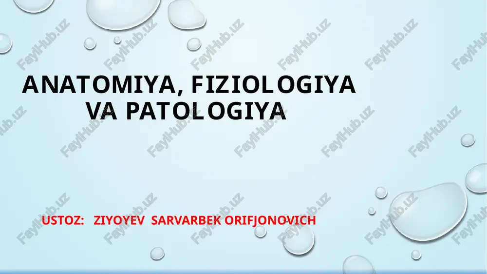 salomatlik va kasallik — PPTX