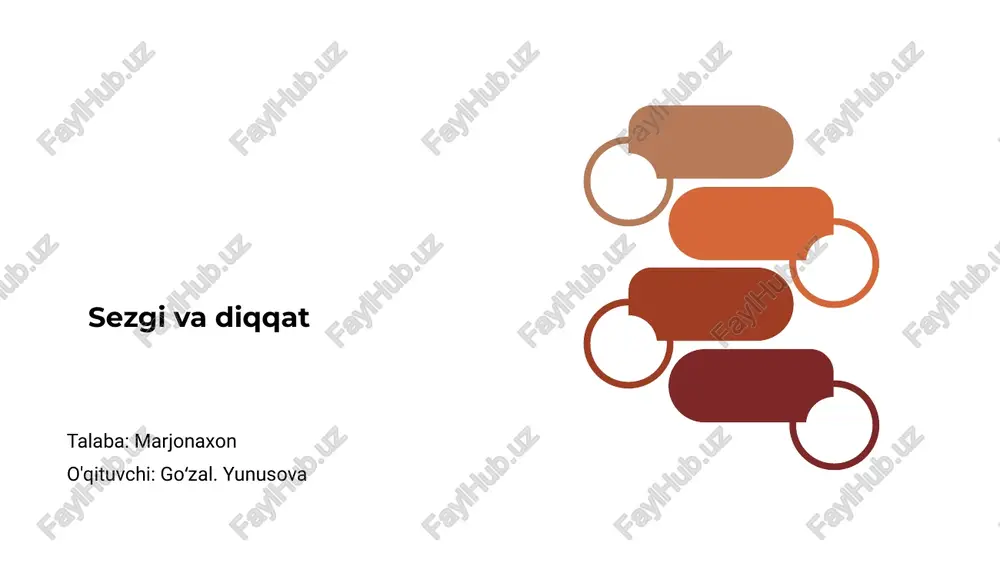 sezgi va diqqat — PPTX