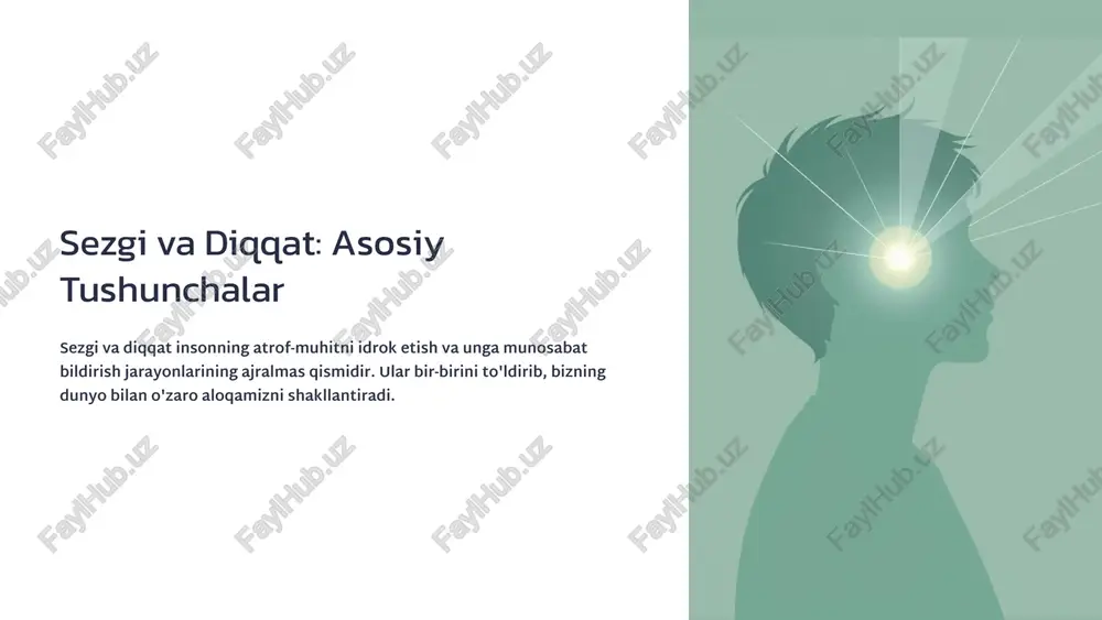 sezgi va diqqat: asosiy tushunchalar — PPTX