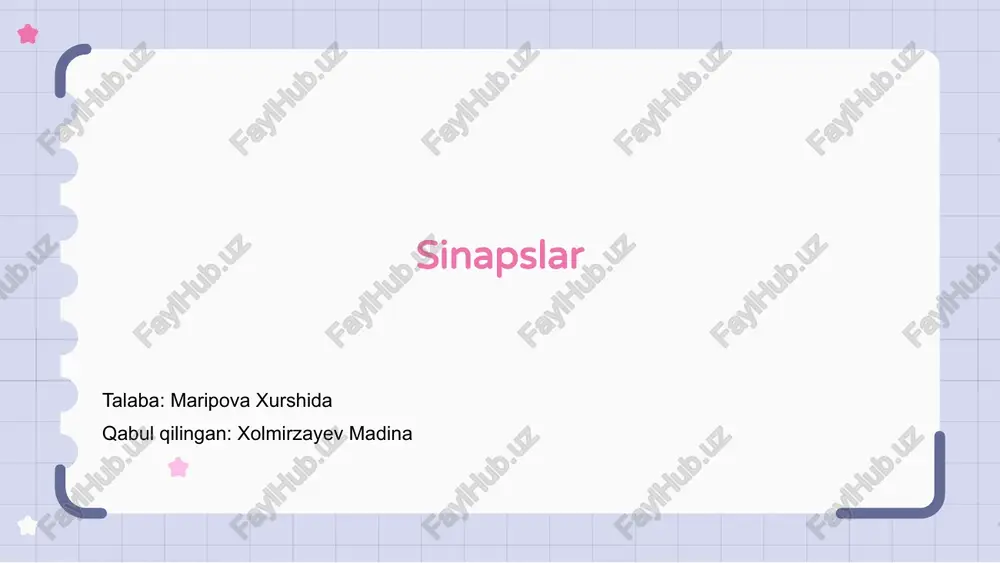 sinapslar — PPTX
