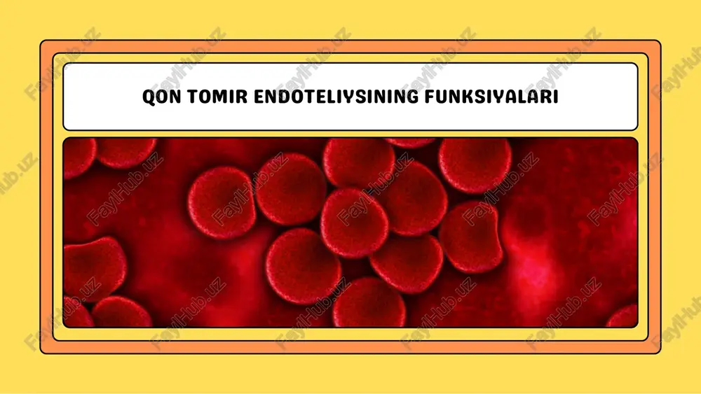 qon tomir endoteliysining tuzilishi — PDF