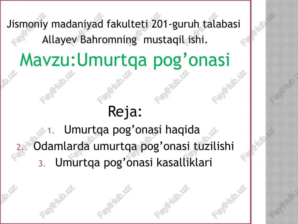 umurtqapog’onasi — PPTX