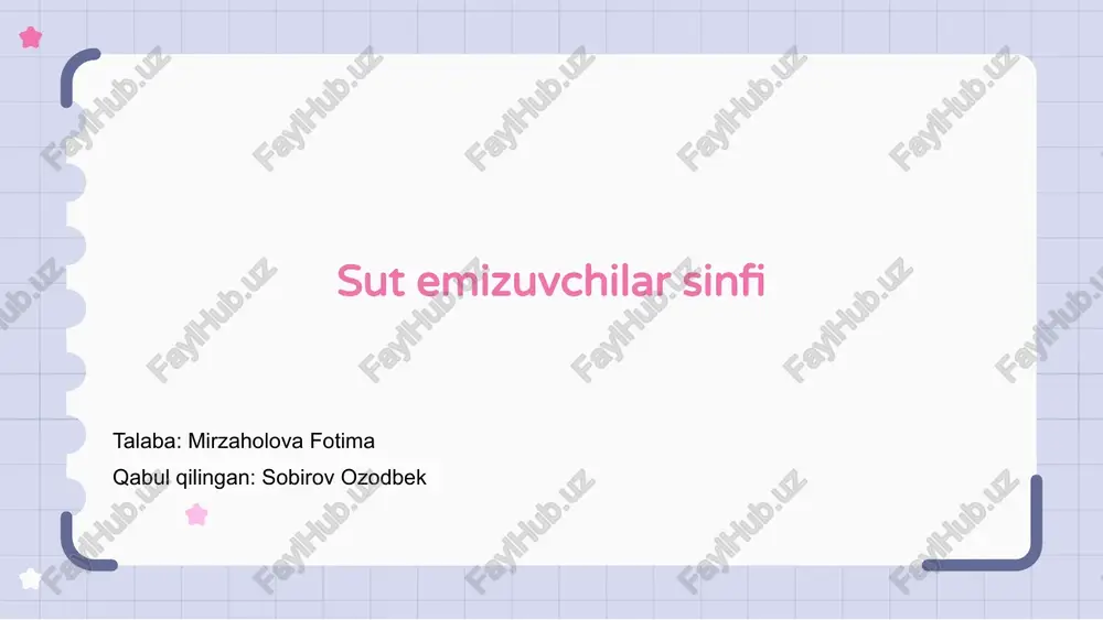 sut emizuvchilar sinfi — PPTX