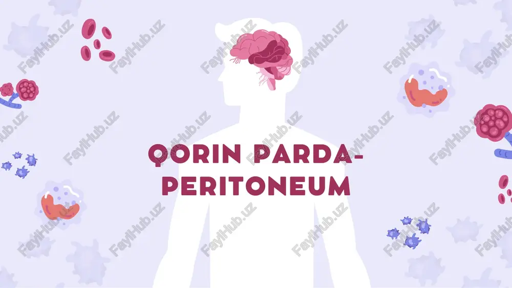 qorin parda - peritoneum — PDF