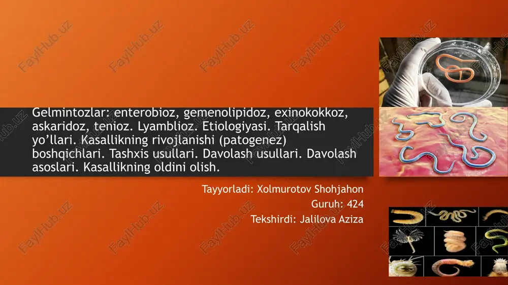 gelmintozlar — PPTX