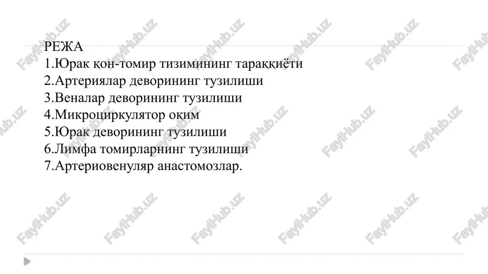 yurak-tomirlar sistemasi — PPTX