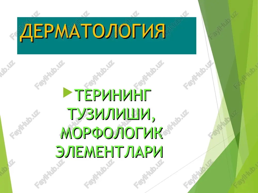 dermatologiya — PPT