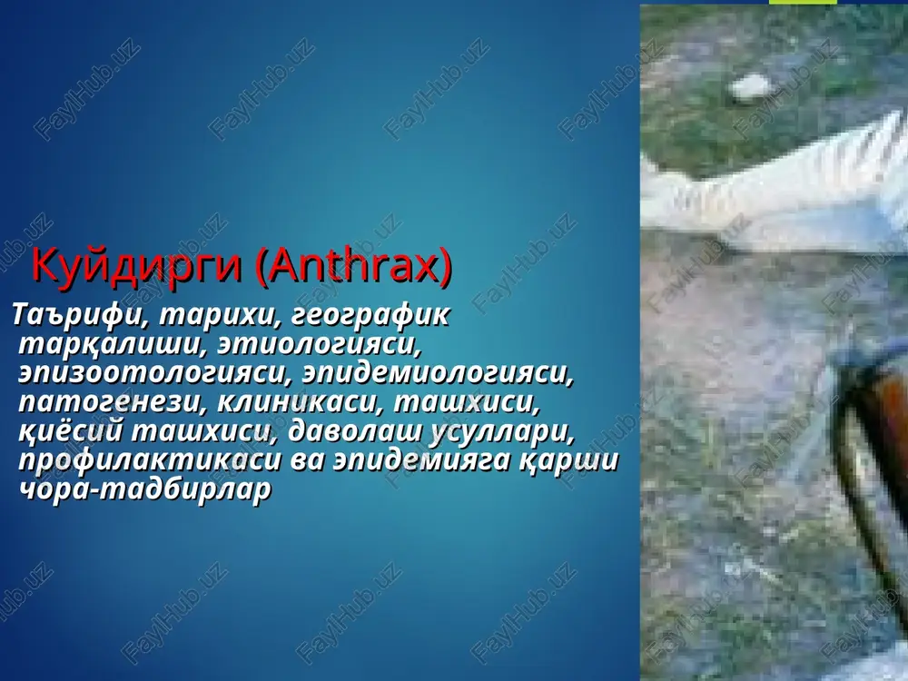 kuydirgi(anthrax) — PPT